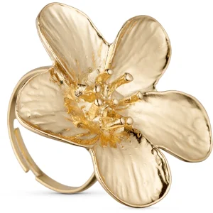 Florentina Ring - Gold